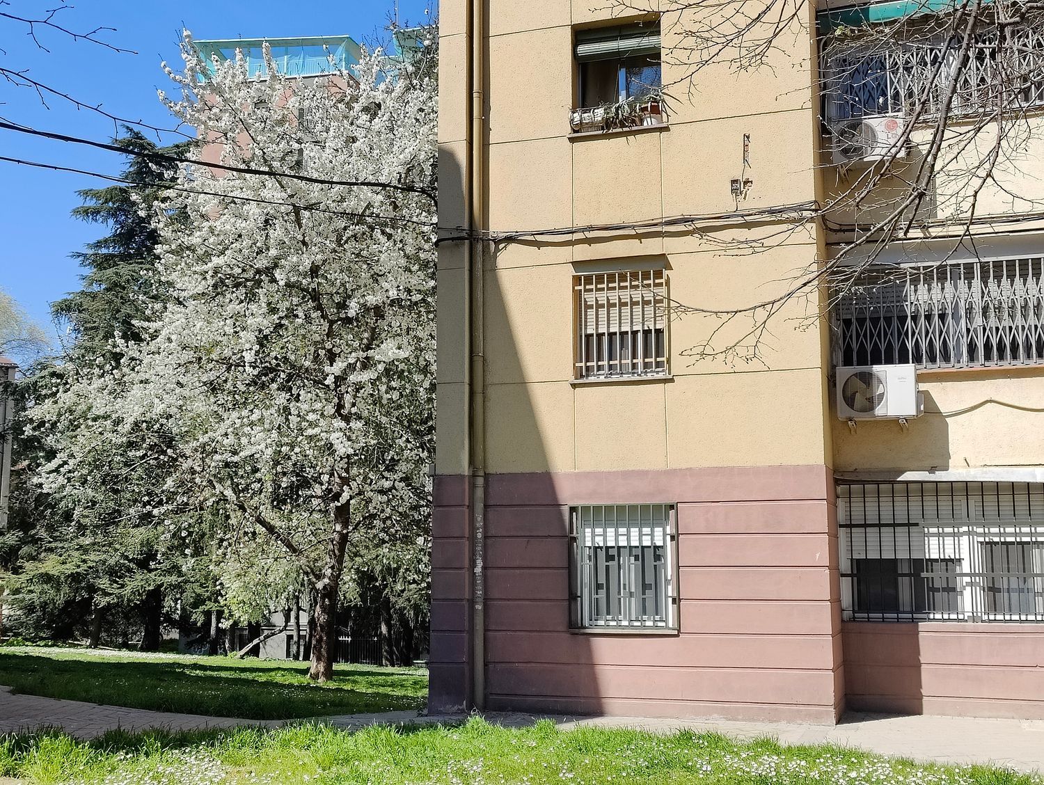 Piso en calle de San Magín, 15 - Foto 5