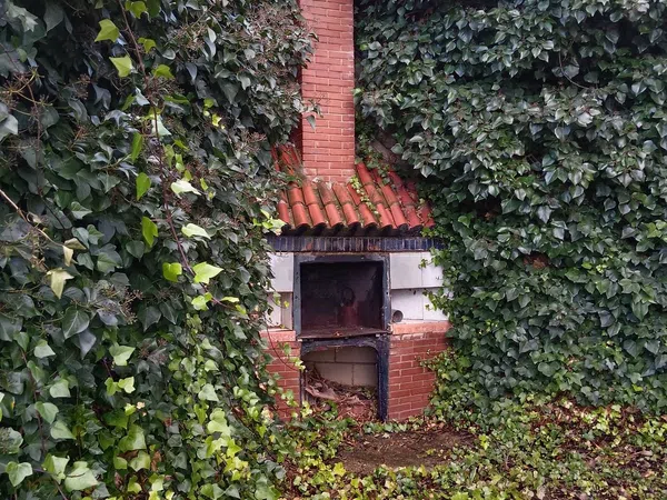 Finca rústica en camino Fuente la Junquera s/n - Foto 20