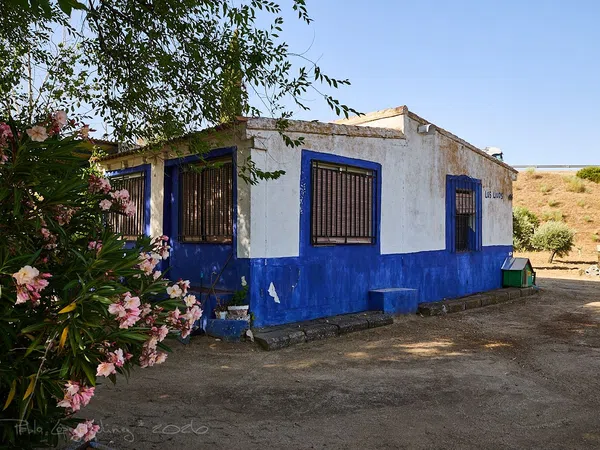 Finca rústica en Camino de la Mata s/n - Foto 16