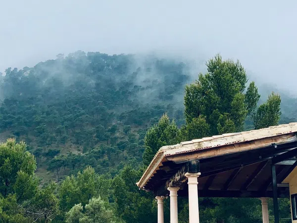 Finca rústica en Urbanización Cruz del Maigmó, 21 - Foto 6
