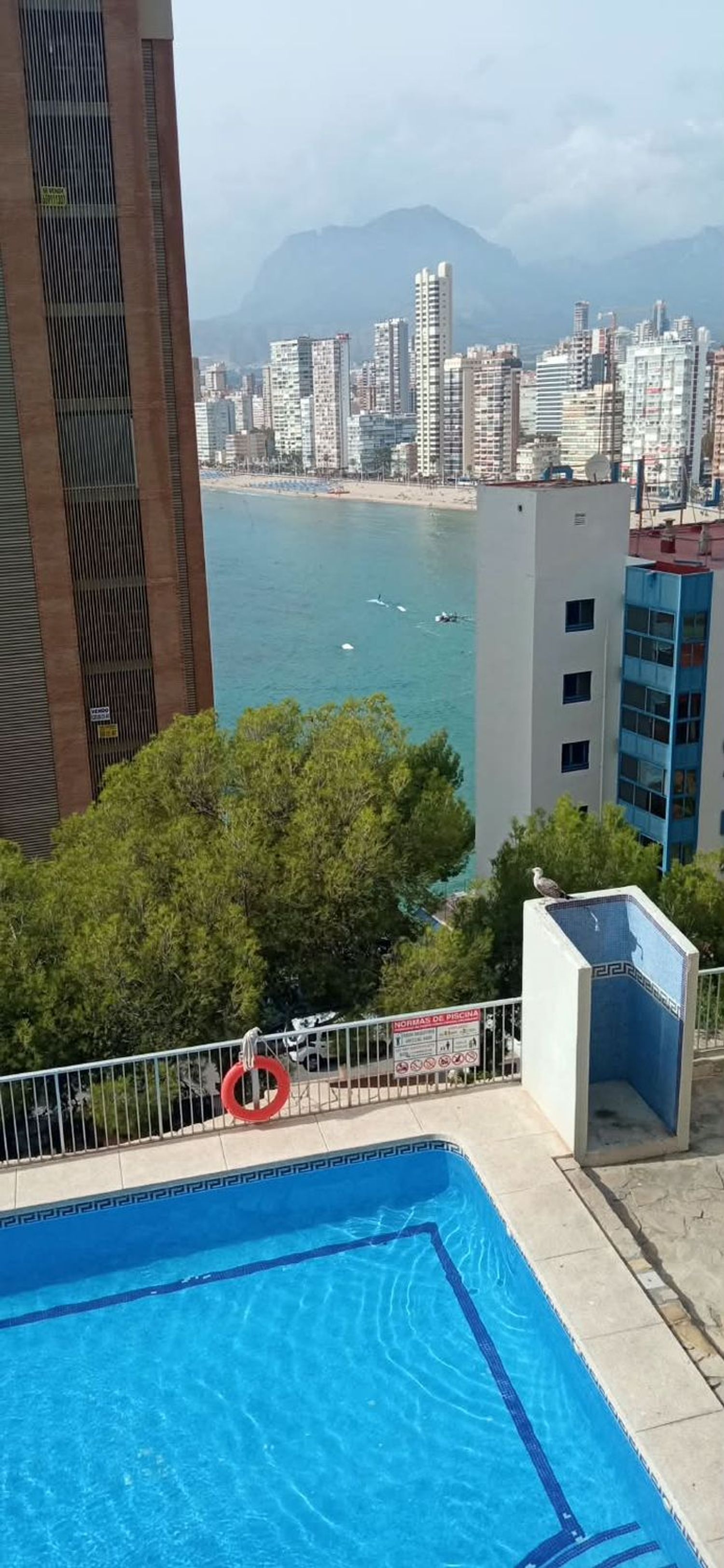 Piso en Calle Alcalde Manuel Catalán Chana, 7, Zona Sierra Helada - Foto 2