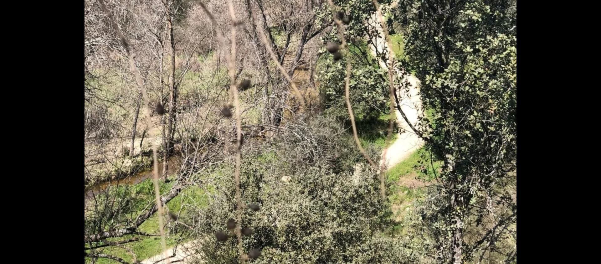 Finca rústica en  M-505 10 - Foto 6