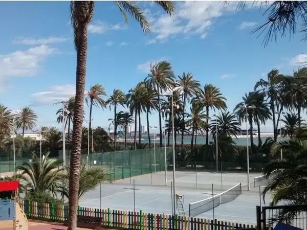 Piso en Calle Deportista Joaquin Blume, 9, El Palmeral-Urbanova-Tabarca - Foto 5