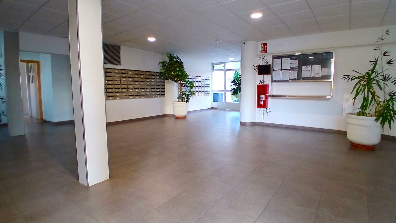 Estudio en Avenida de Suecia, 12, Pueblo Levante, Pueblo Levante - Foto 4