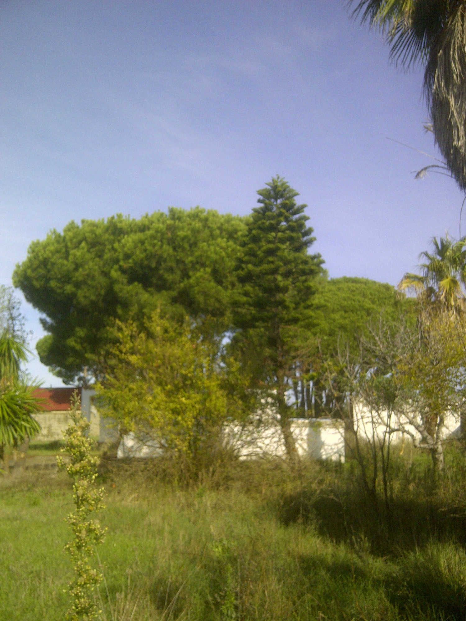 Casa independiente en calle Ceuta s/n - Foto 5