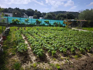 Finca rústica en  Callejón Martín 3 - Foto 4