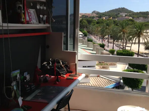 Estudio en Gran Via Puig de Galatzó, 18 - Foto 14