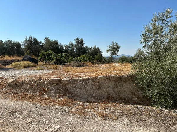 Cortijo en Cortijo en Diseminado Albaicin, 63 - Foto 17