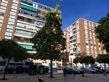 Piso en  Calle Agustina de Aragón 3 - Foto 1