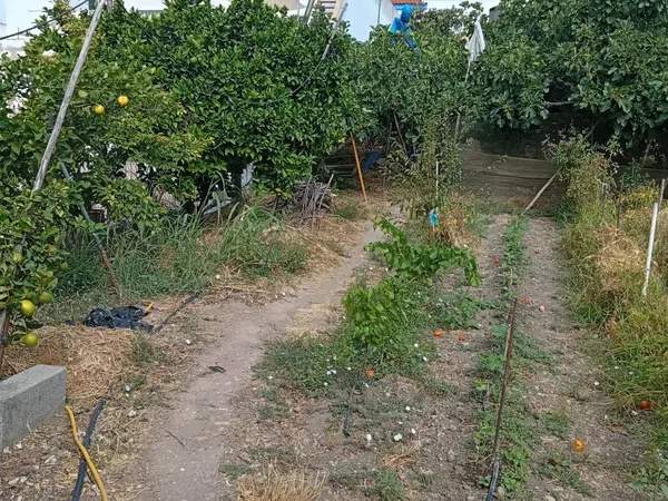 Finca rústica en Calle Galdames, 108, Ayamonte Pueblo, Ayamonte Pueblo - Foto 19
