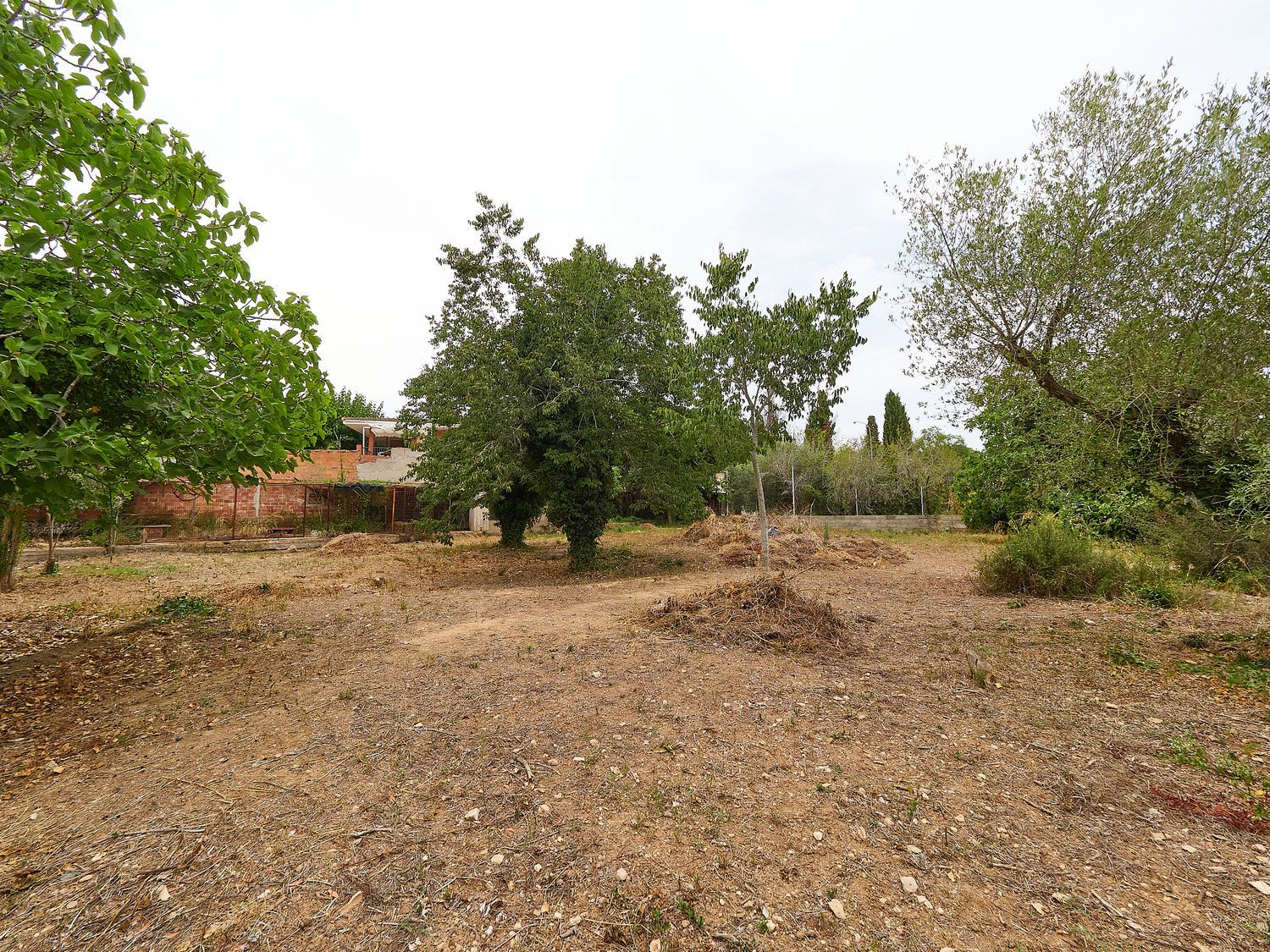Casa rural en Avenida Catalunya, 20 - Foto 8