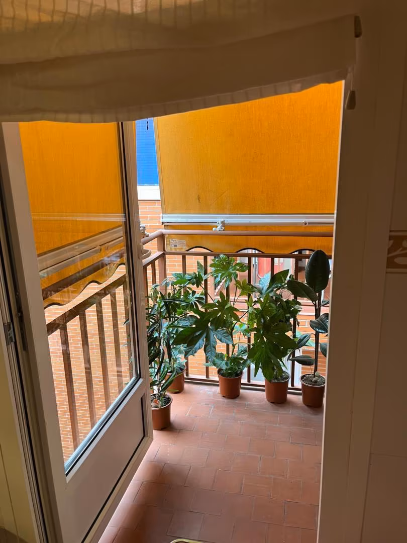 Piso en  Avenida de la Constitución 86 - Foto 5