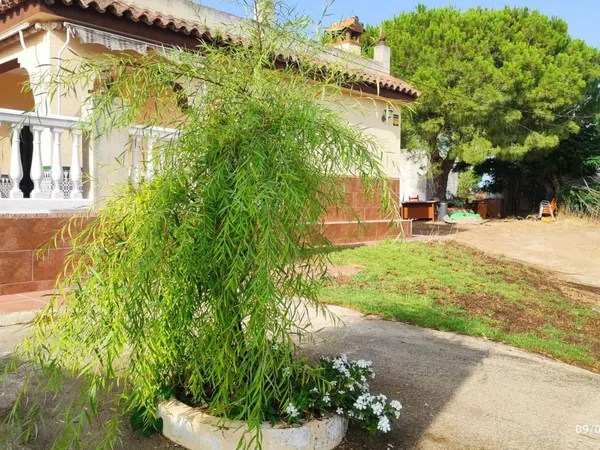 Finca rústica en Barrio Nuevo s/n, Barrio Nuevo, Barrio Nuevo - Foto 10