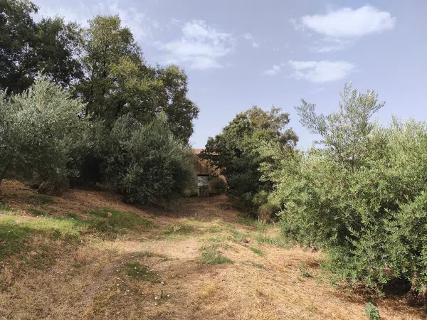 Finca rústica en Las veredas s/n s/n - Foto 7