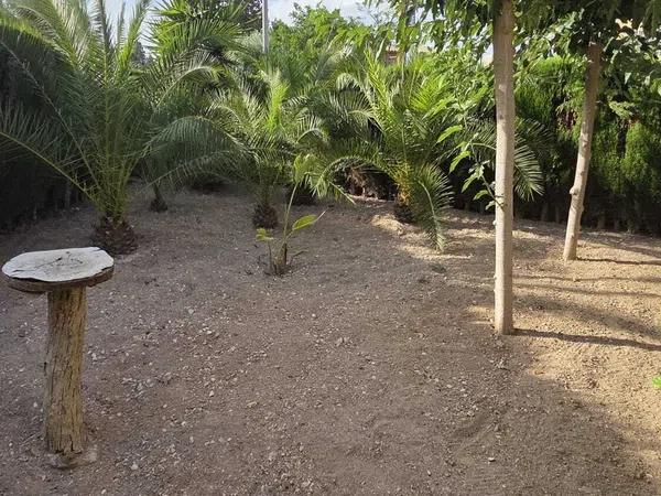 Casa o chalet independiente en Playa Muchavista, Playa Muchavista - Foto 25
