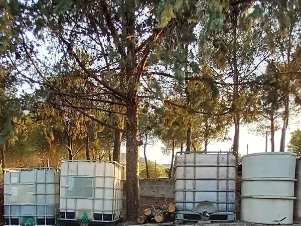 Finca rústica en Carretera de San Antonio s/n - Foto 13