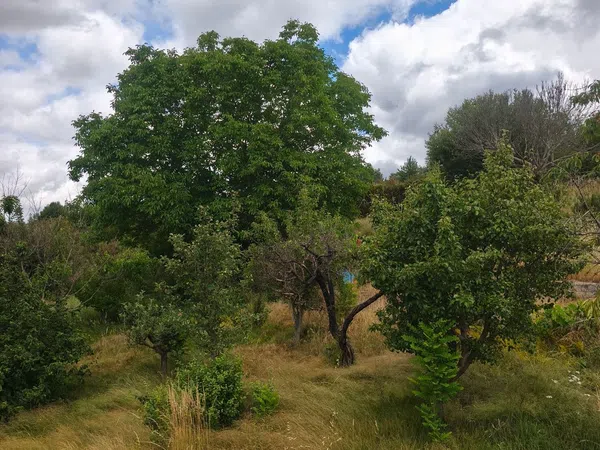 Casa de pueblo en Lugar Santibañez, 1029 - Foto 17