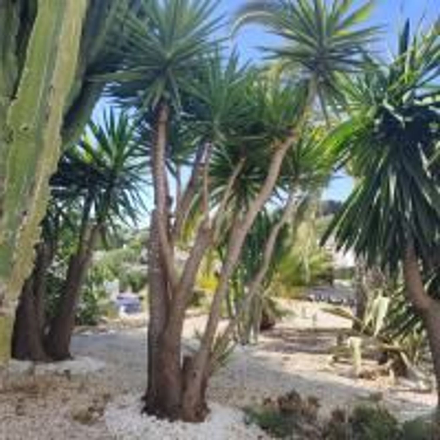 Casa rural en Calle de la Mare-selva, 9, La Fustera, La Fustera - Foto 7