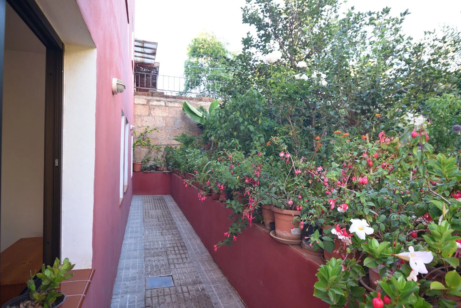 Casa independiente en carretera Tacoronte Tejina, 114 - Foto 2
