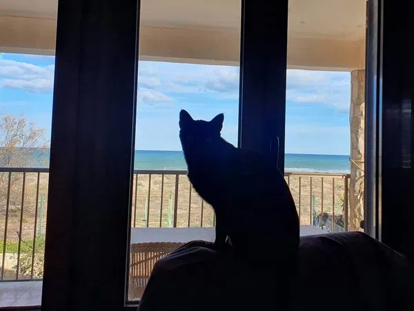 Casa independiente en sector 2b, 2 - Foto 22