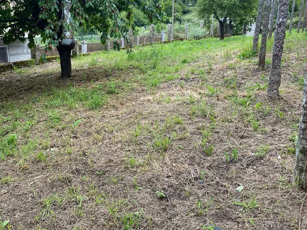 Casa de pueblo en Ou-300, 5 - Foto 18