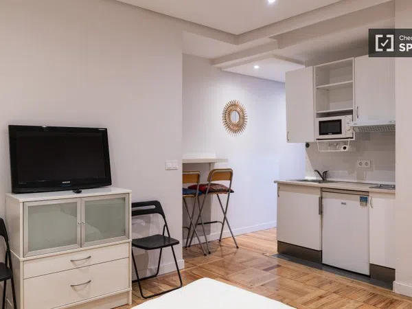 Estudio en Calle de Zurbano, Almagro - Foto 8