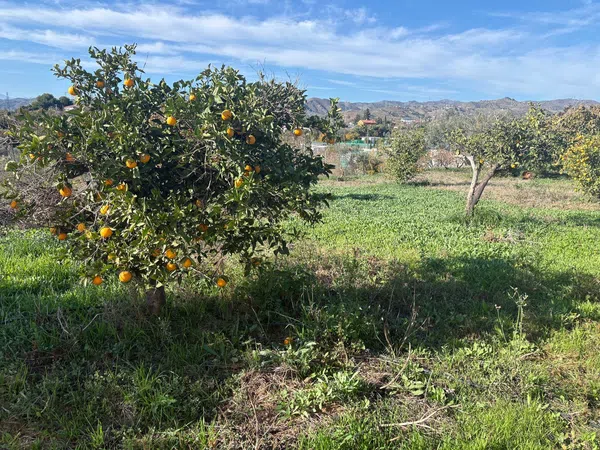 Casa independiente en camino de Valdeurraca, 9 - Foto 1