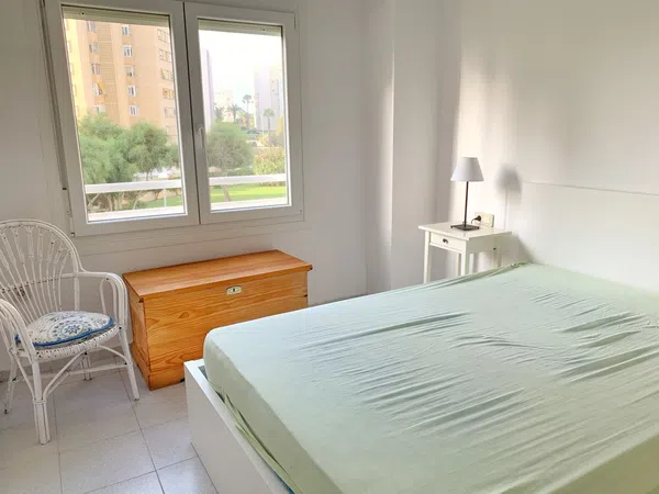 Piso en Calle Músico Agustín Bertomeu, 4, El Palmeral-Urbanova-Tabarca - Foto 2