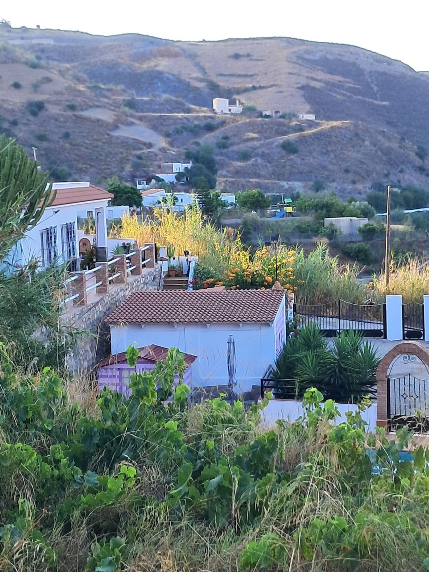 Cortijo en Cortijo en Haza Mora s/n - Foto 3
