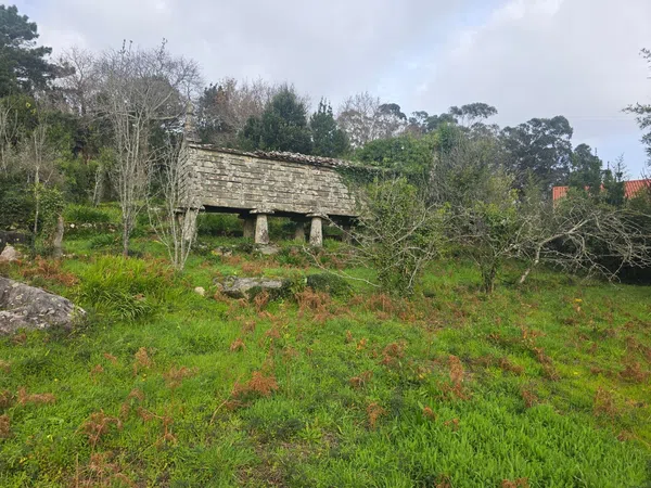 Caserón en pazo, 3 - Foto 11