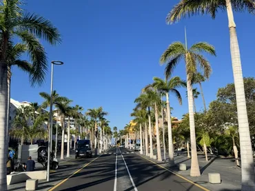 Estudio en  Avenida las Américas 2 - Foto 2