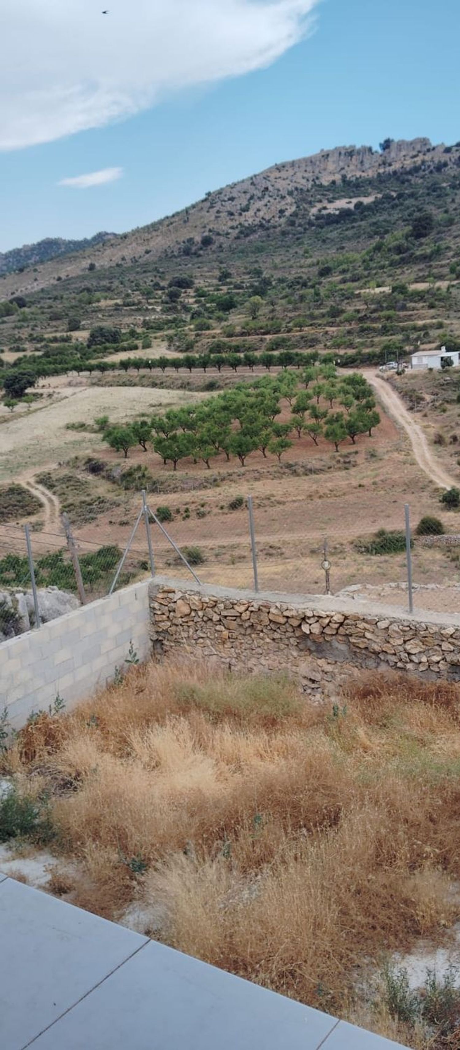 Casa rural en Calle Periodista Luis Parreño s/n - Foto 19