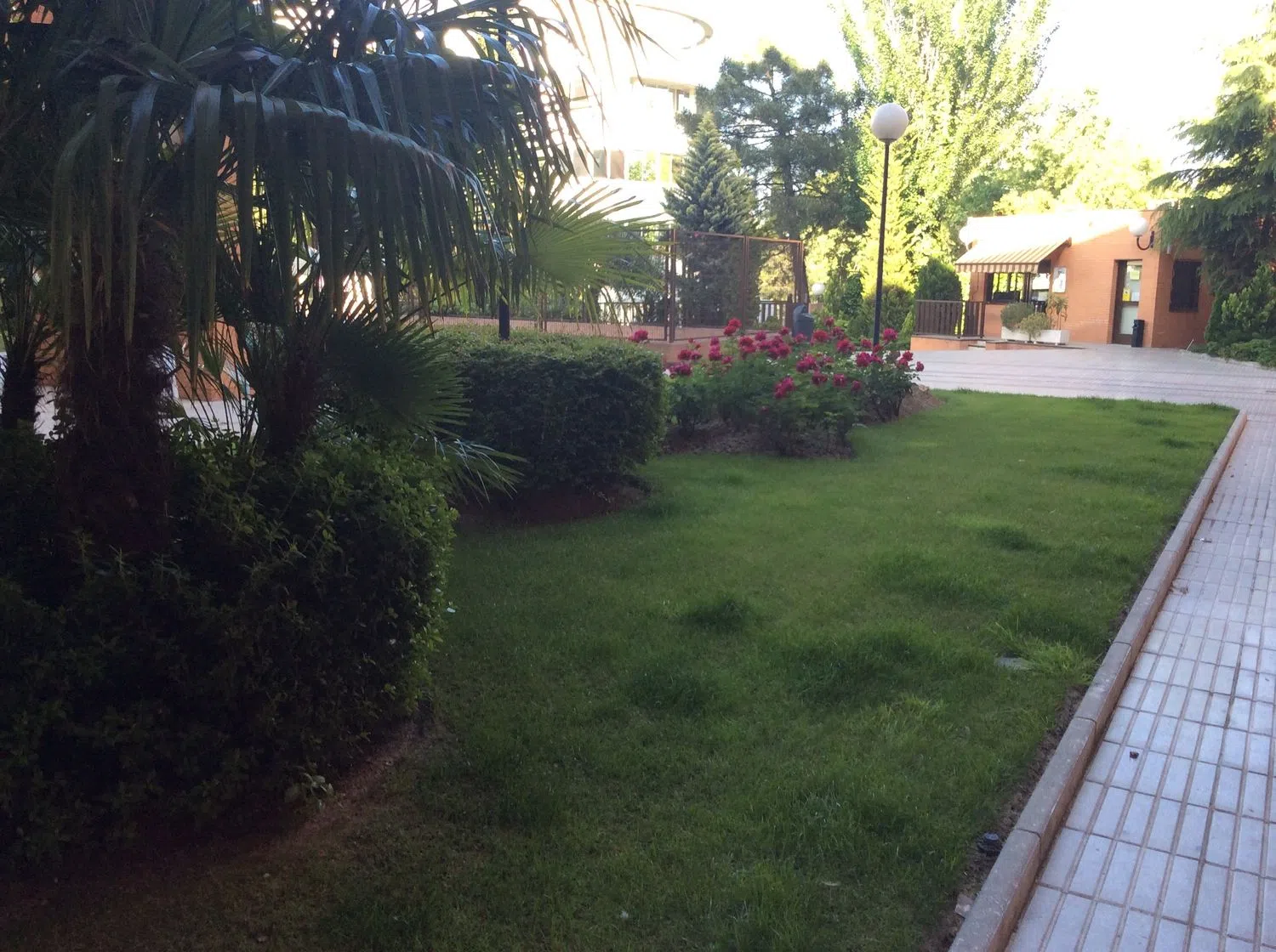 Piso en calle de Samaniego, 9 - Foto 4