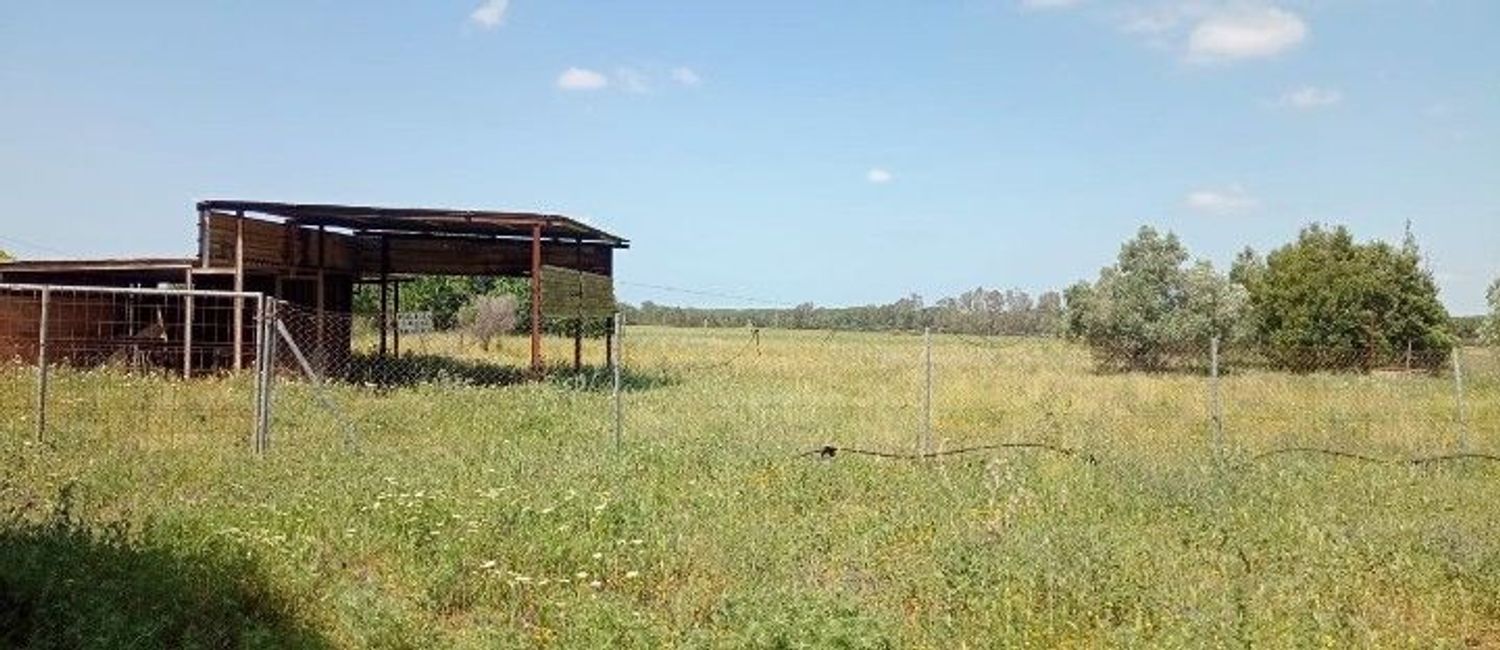 Finca rústica en Ca-3109 s/n - Foto 13