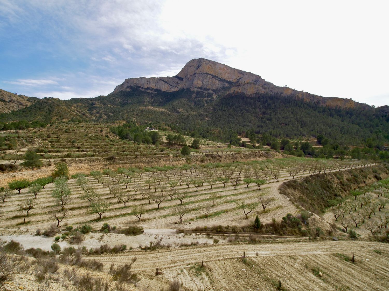 Casa independiente en Partida Almadrava, 1 - Foto 32