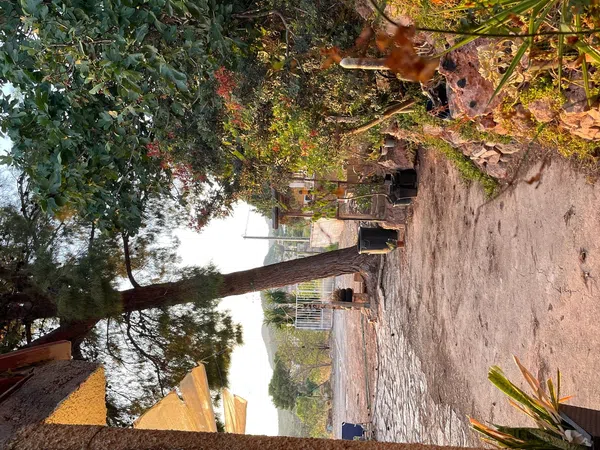 Casa rural en Plaza Poligono 8, 55, San Miguel - El Paraíso, San Miguel - El Paraíso - Foto 15