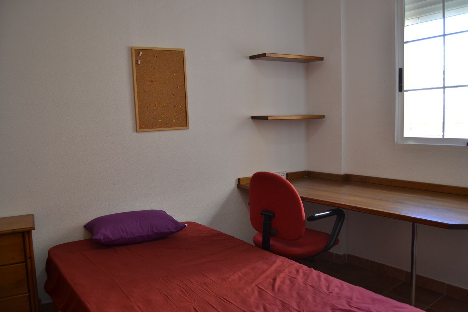 Dúplex en Calle Monseñor Francisco Gil Hellín, 19, La Ñora - Foto 38