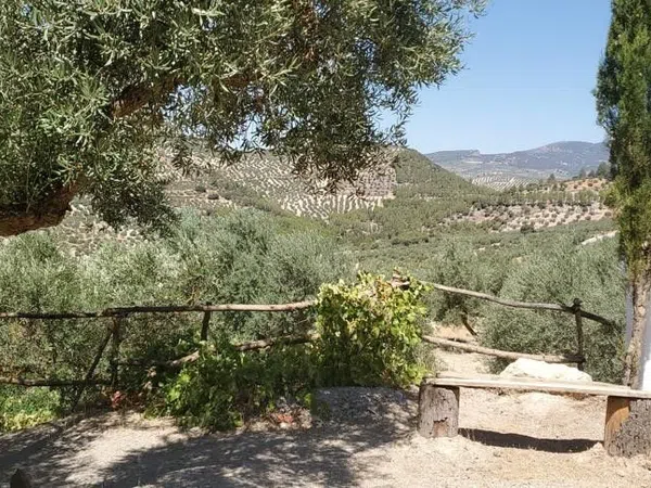 Casa rural en Carretera de Granada, 1 - Foto 9