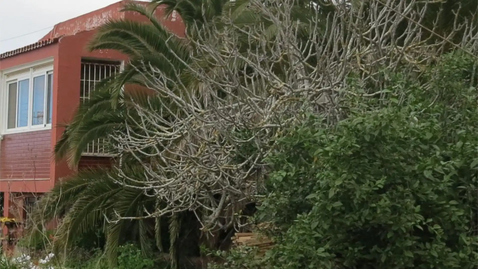 Piso en  Calle Mencey Bencomo 11 - Foto 4