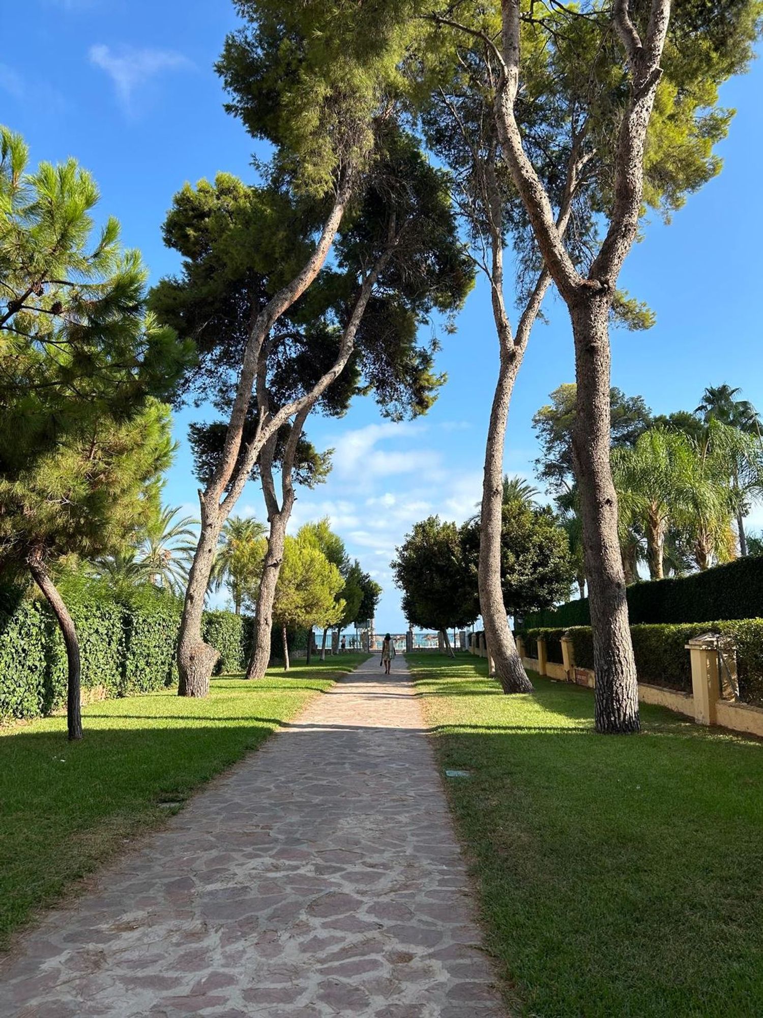 Piso en Calle Bisbe Serra, 5, Voramar, Voramar - Foto 6