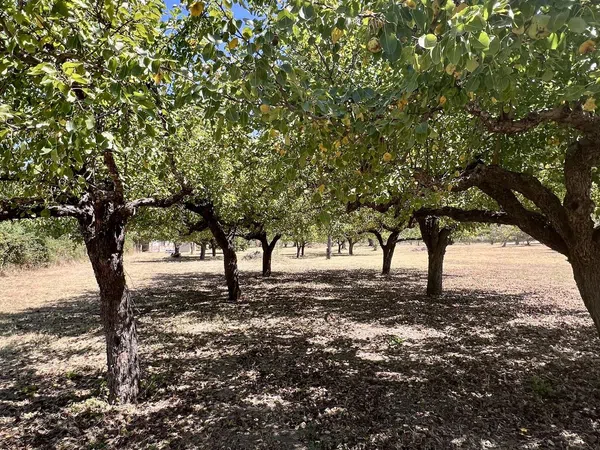 Casa rural en Arenas de San Pedro - Foto 4