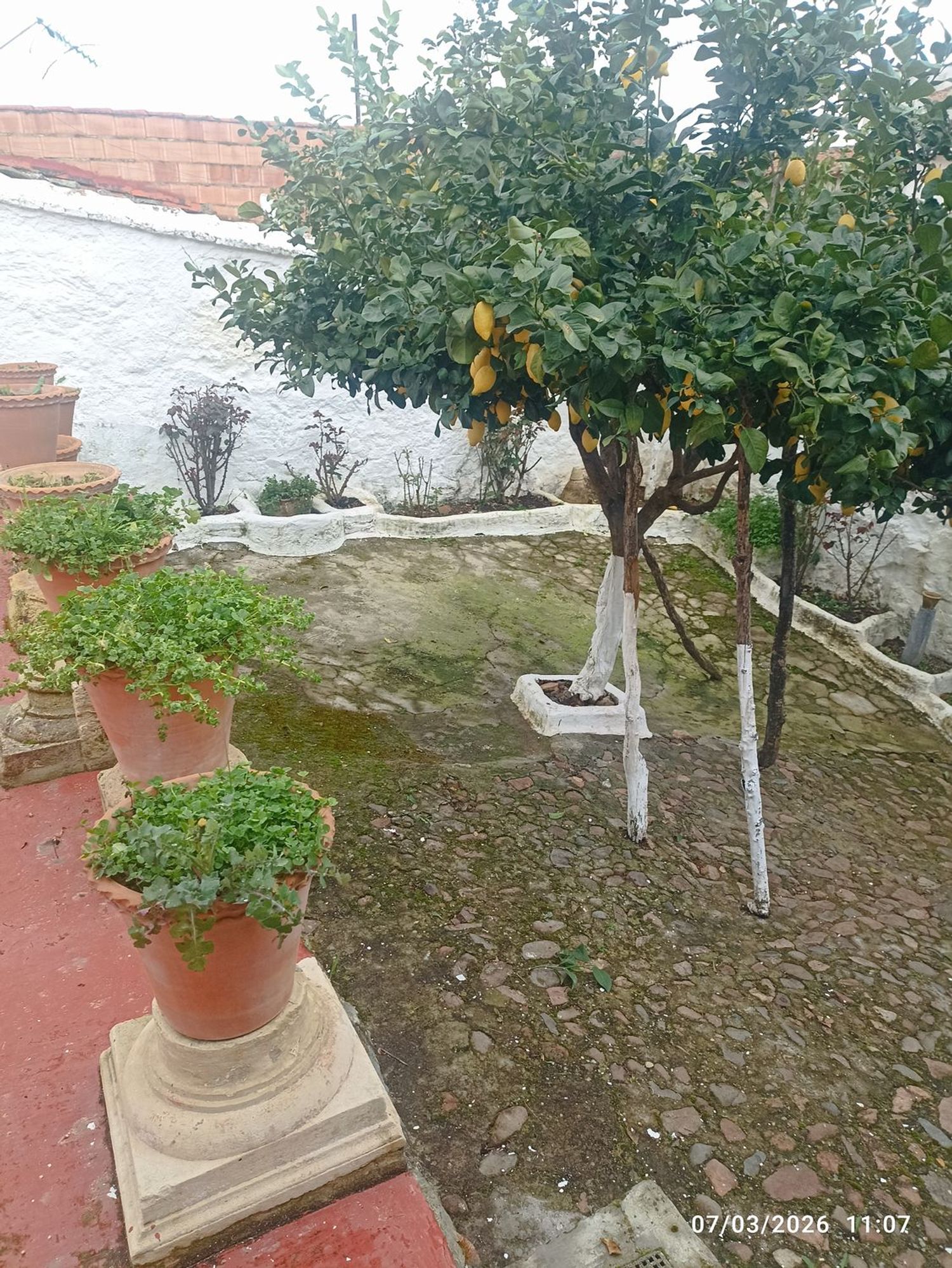 Casa de pueblo en Calle Castelar, 2 - Foto 19