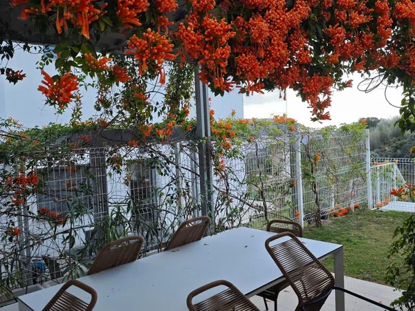 Chalet pareado en Calle Chirimoyo, 6, Mijas Pueblo, Mijas Pueblo - Foto 24
