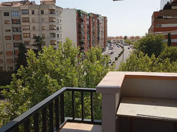 Piso en Avenida Damián Téllez Lafuente, 2, Ciudad Jardín, Ciudad Jardín - Foto 15