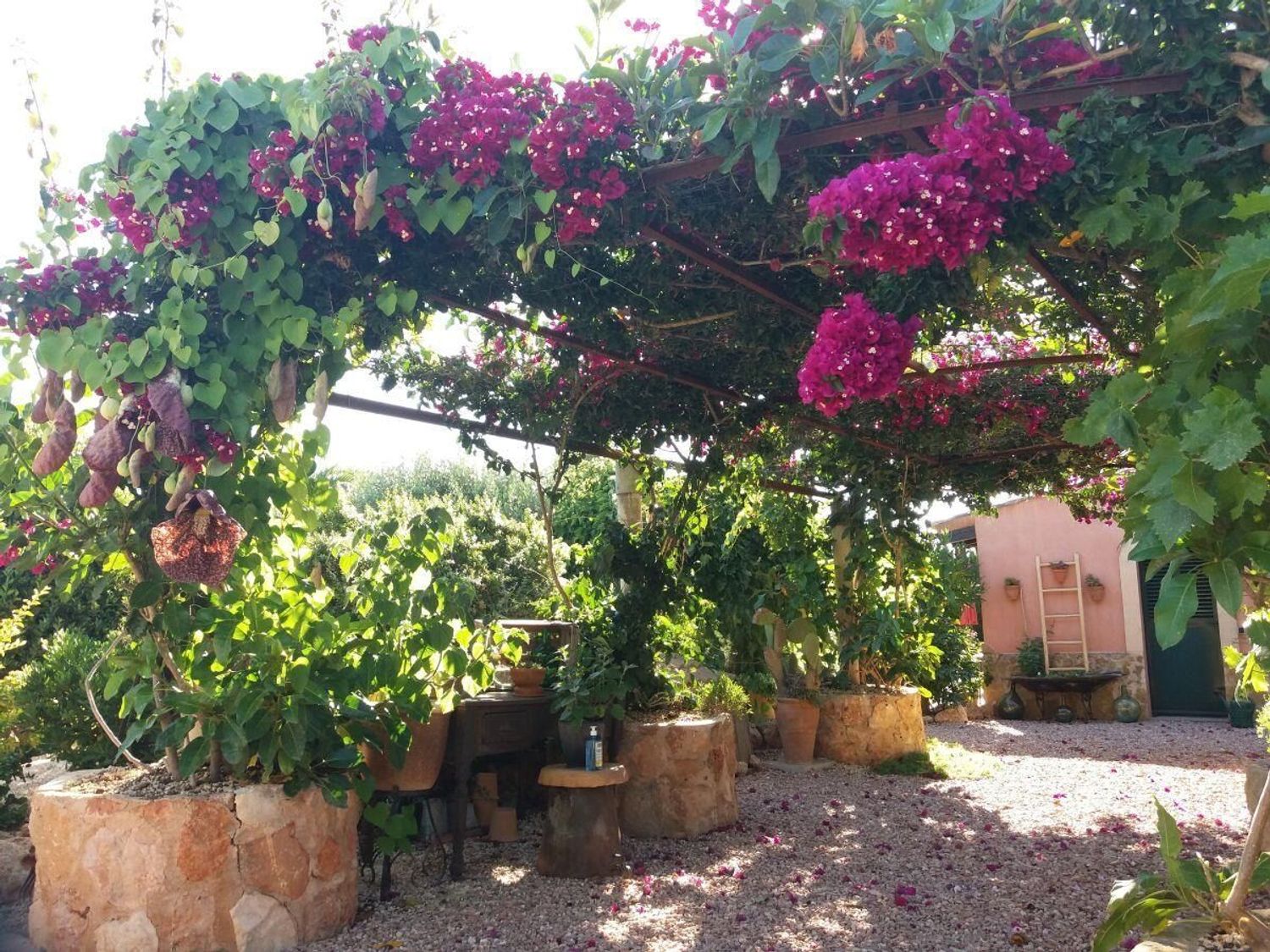 Finca rústica en camino de Empedrat, 96 - Foto 2