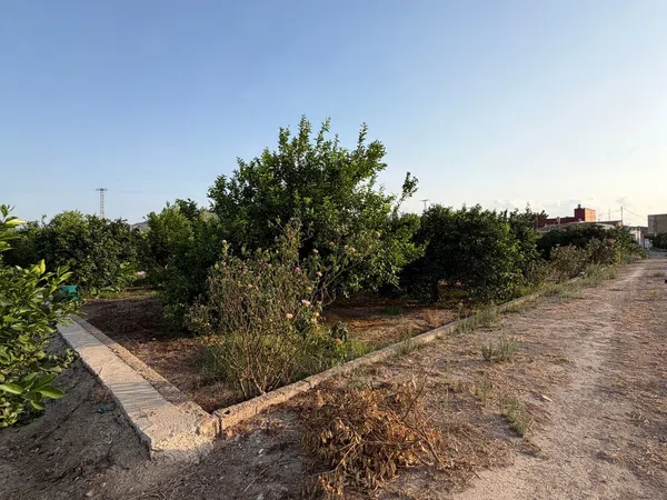 Finca rústica en Camino de los Plazas, 16, San José de la Vega - Foto 39