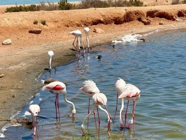 Piso en Avenida Julietta Orbaiceta, 29, Playa Honda-Playa Paraíso - Foto 8