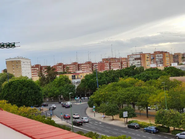Piso en Calle Párroco Antonio Gómez Villalobos, 2, Cerro del Águila - Foto 27