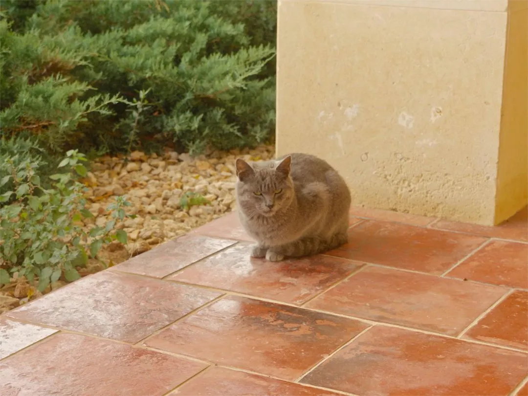 Chalet en  Calle Benimeli 1 - Foto 33