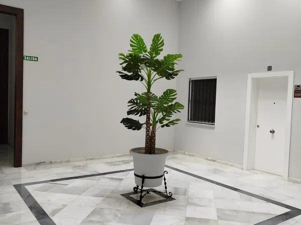 Piso en Calle Sacramento, 38, Centro Histórico - Plaza España, Centro Histórico - Plaza España - Foto 16